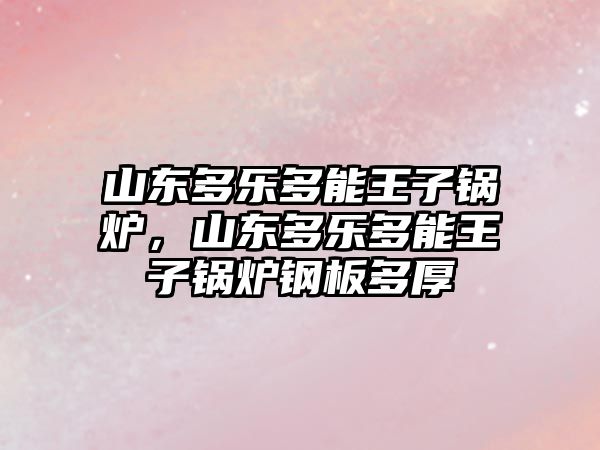 山東多樂多能王子鍋爐，山東多樂多能王子鍋爐鋼板多厚