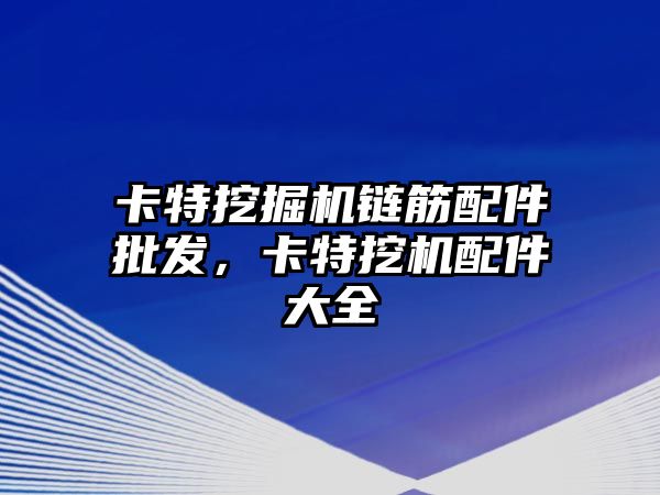 卡特挖掘機鏈筋配件批發(fā)，卡特挖機配件大全