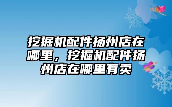 挖掘機配件揚州店在哪里，挖掘機配件揚州店在哪里有賣