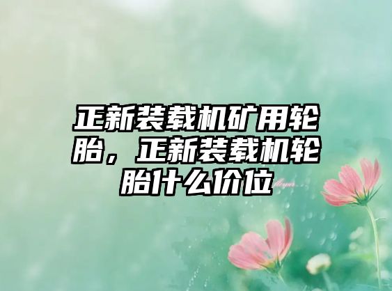 正新裝載機(jī)礦用輪胎，正新裝載機(jī)輪胎什么價(jià)位