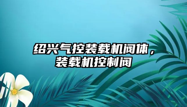 紹興氣控裝載機閥體，裝載機控制閥