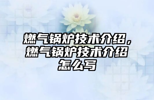 燃?xì)忮仩t技術(shù)介紹，燃?xì)忮仩t技術(shù)介紹怎么寫