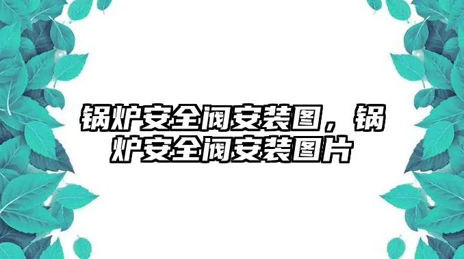 鍋爐安全閥安裝圖，鍋爐安全閥安裝圖片