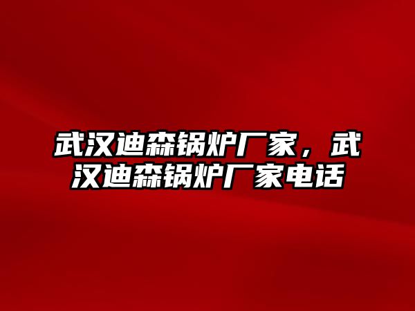 武漢迪森鍋爐廠家，武漢迪森鍋爐廠家電話