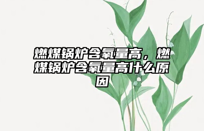 燃煤鍋爐含氧量高，燃煤鍋爐含氧量高什么原因