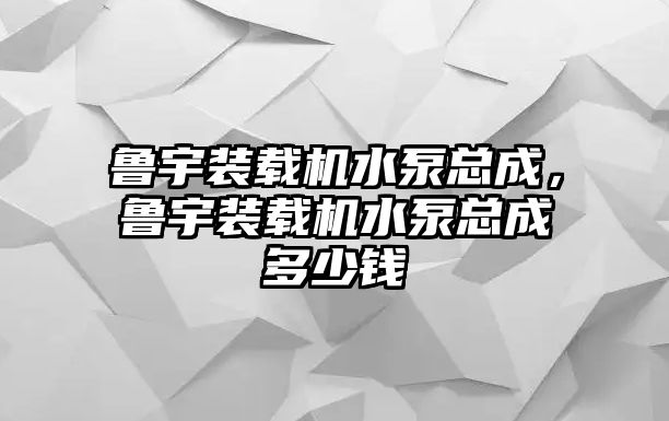 魯宇裝載機水泵總成，魯宇裝載機水泵總成多少錢