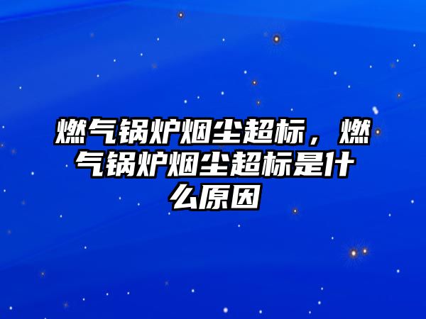 燃?xì)忮仩t煙塵超標(biāo)，燃?xì)忮仩t煙塵超標(biāo)是什么原因