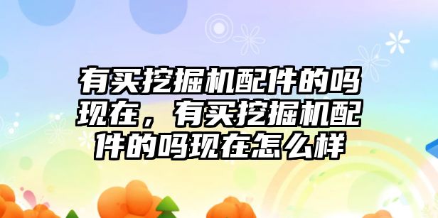 有買挖掘機配件的嗎現(xiàn)在，有買挖掘機配件的嗎現(xiàn)在怎么樣