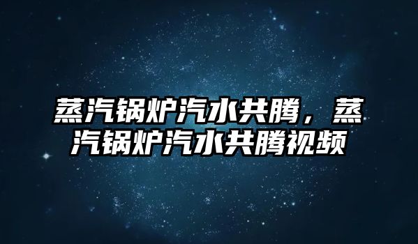 蒸汽鍋爐汽水共騰，蒸汽鍋爐汽水共騰視頻