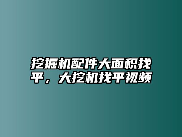 挖掘機(jī)配件大面積找平，大挖機(jī)找平視頻