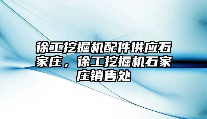 徐工挖掘機配件供應石家莊，徐工挖掘機石家莊銷售處