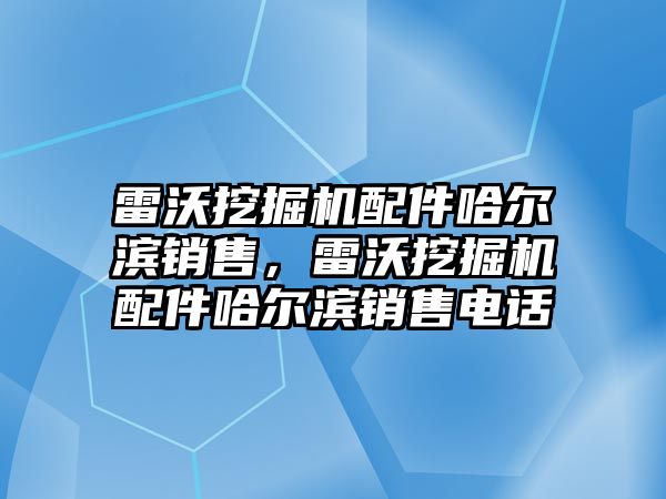 雷沃挖掘機配件哈爾濱銷售，雷沃挖掘機配件哈爾濱銷售電話