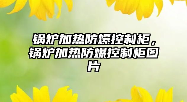 鍋爐加熱防爆控制柜，鍋爐加熱防爆控制柜圖片