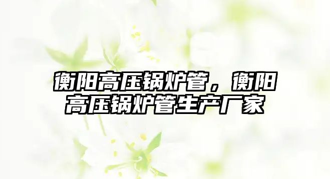 衡陽高壓鍋爐管，衡陽高壓鍋爐管生產(chǎn)廠家