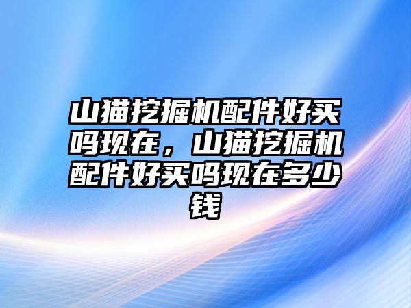 山貓挖掘機配件好買嗎現(xiàn)在，山貓挖掘機配件好買嗎現(xiàn)在多少錢