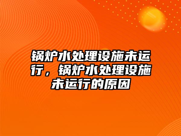 鍋爐水處理設(shè)施未運(yùn)行，鍋爐水處理設(shè)施未運(yùn)行的原因