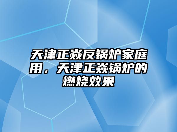 天津正焱反鍋爐家庭用，天津正焱鍋爐的燃燒效果