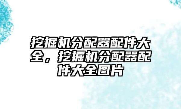 挖掘機(jī)分配器配件大全，挖掘機(jī)分配器配件大全圖片