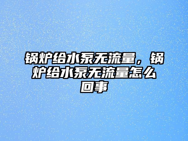 鍋爐給水泵無流量，鍋爐給水泵無流量怎么回事