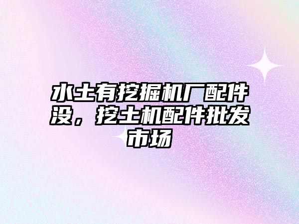 水土有挖掘機(jī)廠配件沒，挖土機(jī)配件批發(fā)市場