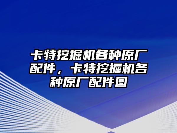 卡特挖掘機各種原廠配件，卡特挖掘機各種原廠配件圖