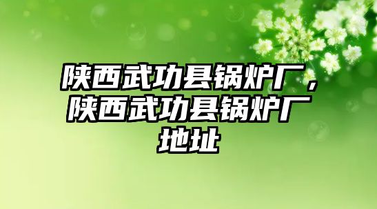 陜西武功縣鍋爐廠，陜西武功縣鍋爐廠地址