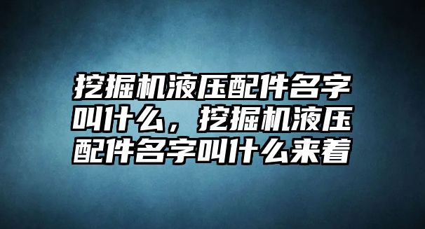 挖掘機液壓配件名字叫什么，挖掘機液壓配件名字叫什么來著