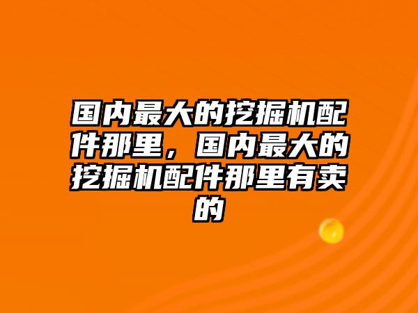 國內(nèi)最大的挖掘機配件那里，國內(nèi)最大的挖掘機配件那里有賣的