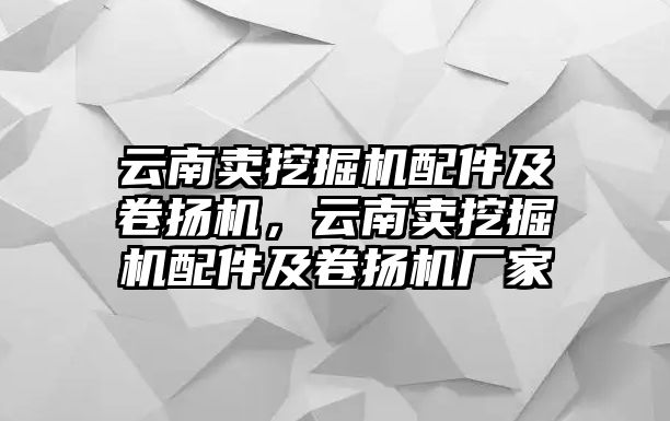 云南賣挖掘機配件及卷揚機，云南賣挖掘機配件及卷揚機廠家