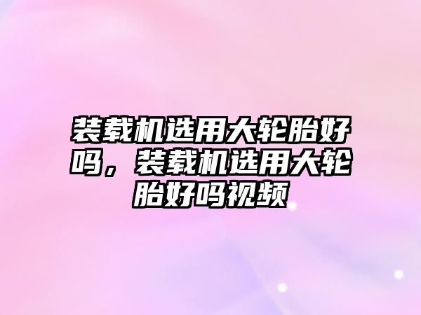 裝載機選用大輪胎好嗎，裝載機選用大輪胎好嗎視頻