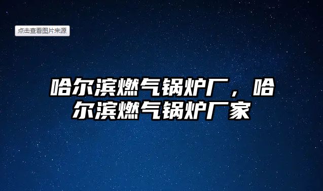 哈爾濱燃氣鍋爐廠，哈爾濱燃氣鍋爐廠家