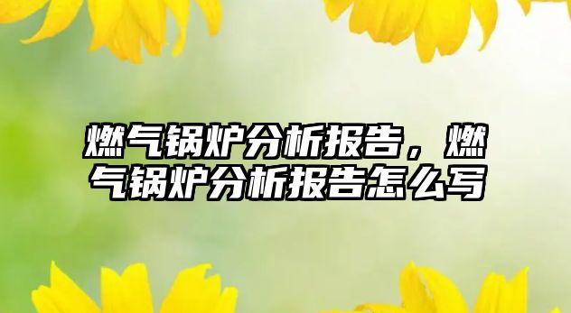 燃氣鍋爐分析報告，燃氣鍋爐分析報告怎么寫