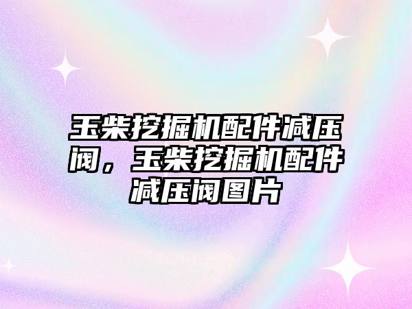 玉柴挖掘機配件減壓閥，玉柴挖掘機配件減壓閥圖片