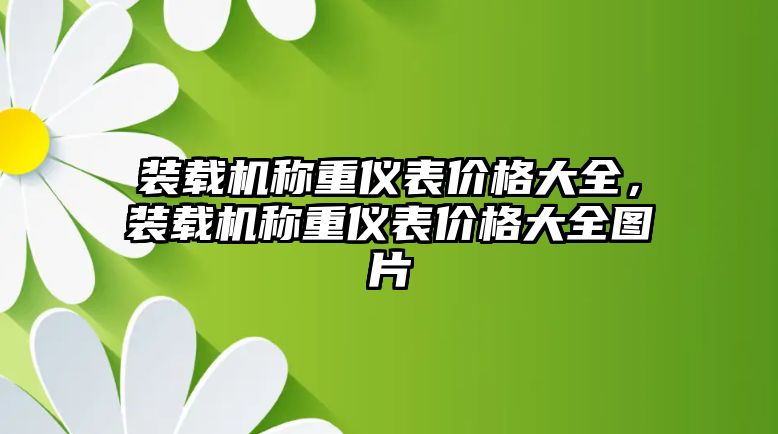 裝載機稱重儀表價格大全，裝載機稱重儀表價格大全圖片