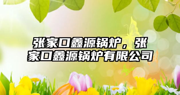 張家口鑫源鍋爐，張家口鑫源鍋爐有限公司