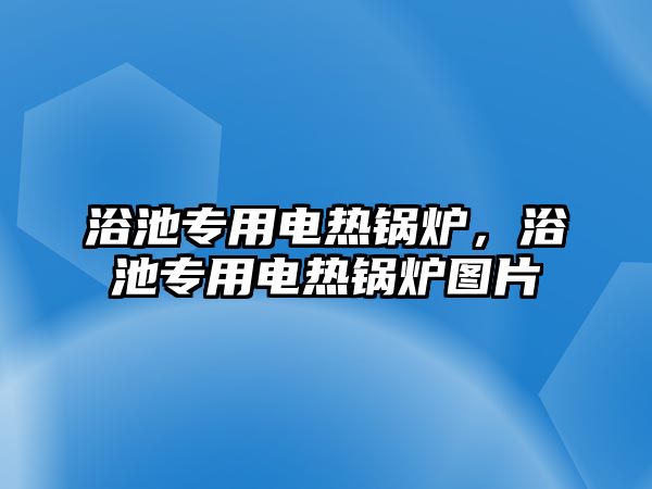 浴池專用電熱鍋爐，浴池專用電熱鍋爐圖片