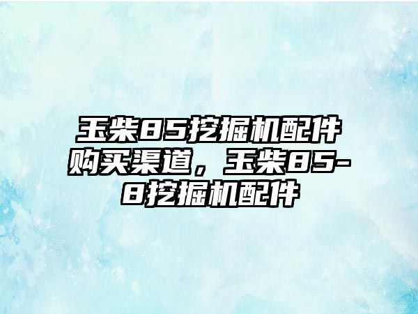 玉柴85挖掘機配件購買渠道，玉柴85-8挖掘機配件