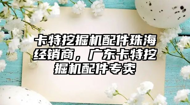 卡特挖掘機配件珠海經(jīng)銷商，廣東卡特挖掘機配件專賣