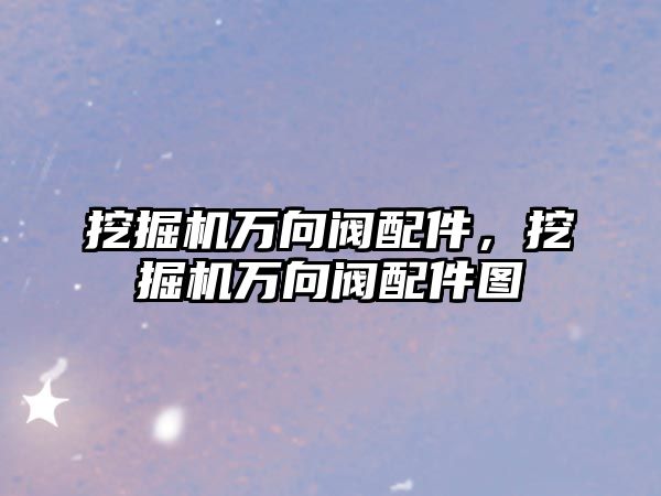 挖掘機萬向閥配件，挖掘機萬向閥配件圖