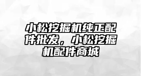 小松挖掘機純正配件批發(fā)，小松挖掘機配件商城