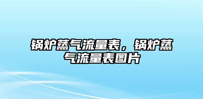 鍋爐蒸氣流量表，鍋爐蒸氣流量表圖片