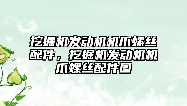 挖掘機發(fā)動機機爪螺絲配件，挖掘機發(fā)動機機爪螺絲配件圖