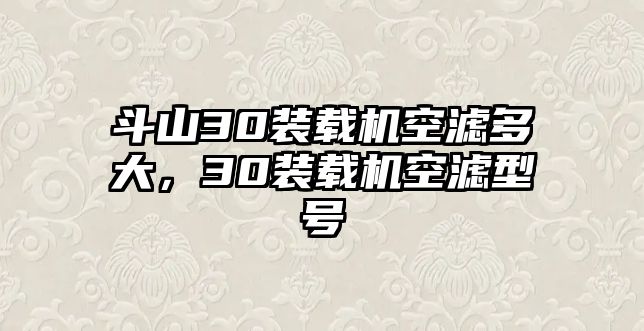 斗山30裝載機空濾多大，30裝載機空濾型號