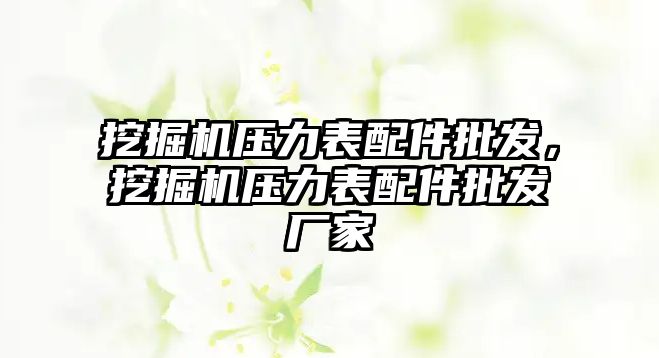 挖掘機壓力表配件批發(fā)，挖掘機壓力表配件批發(fā)廠家