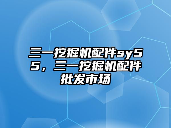 三一挖掘機(jī)配件sy55，三一挖掘機(jī)配件批發(fā)市場