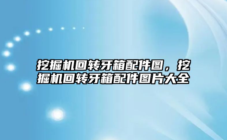 挖掘機回轉牙箱配件圖，挖掘機回轉牙箱配件圖片大全