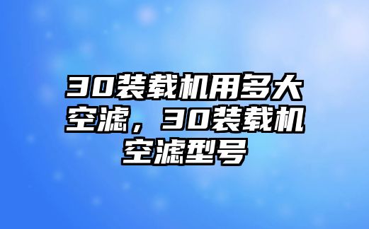 30裝載機用多大空濾，30裝載機空濾型號