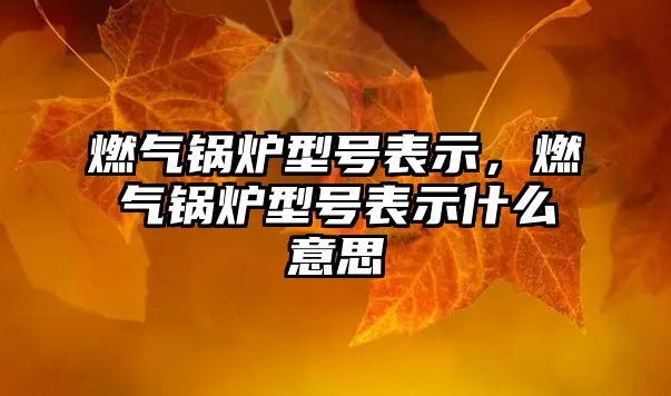 燃?xì)忮仩t型號表示，燃?xì)忮仩t型號表示什么意思