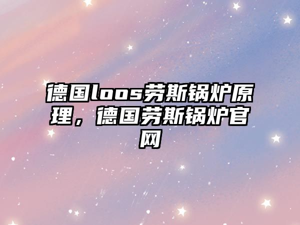 德國loos勞斯鍋爐原理，德國勞斯鍋爐官網(wǎng)