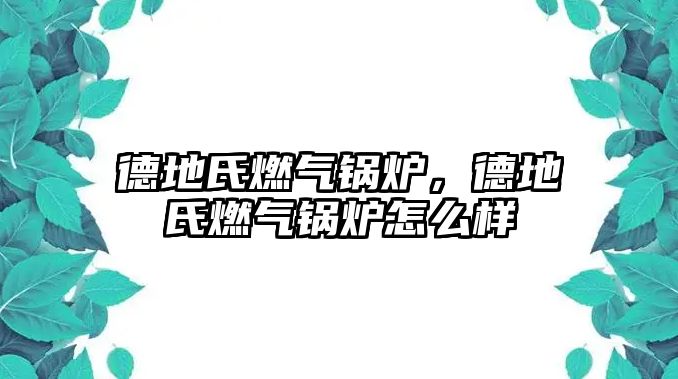 德地氏燃?xì)忮仩t，德地氏燃?xì)忮仩t怎么樣